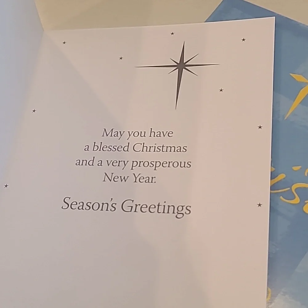 Assorted Christmas Greeting Cards New Set of 20